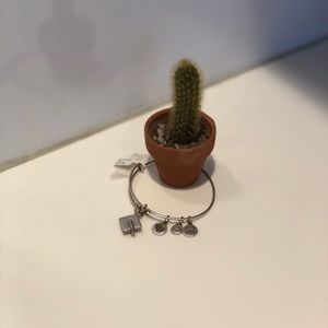 Alex and Ani bracelet